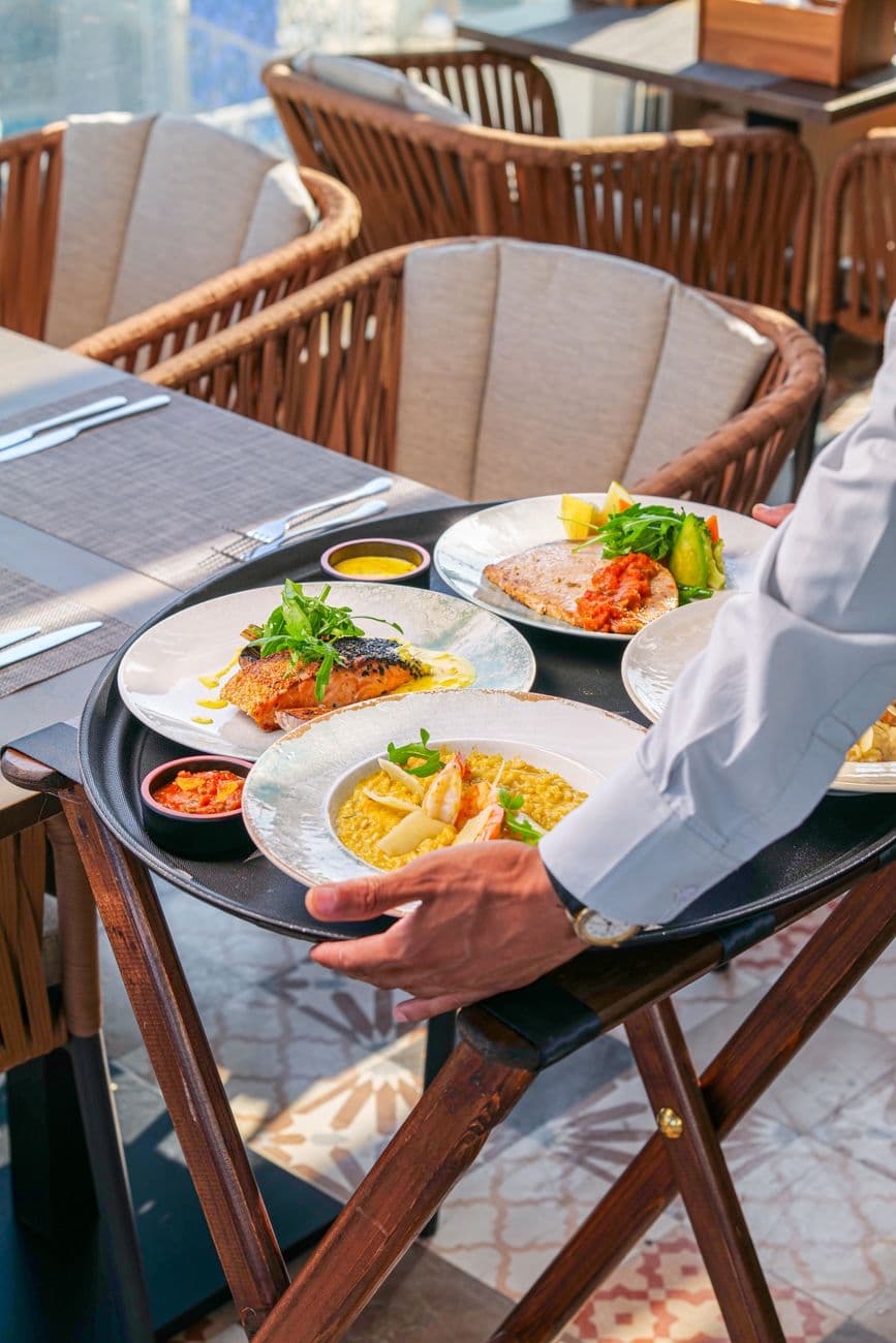 Elegant outdoor dining with gourmet meal served by waiter on terrace.