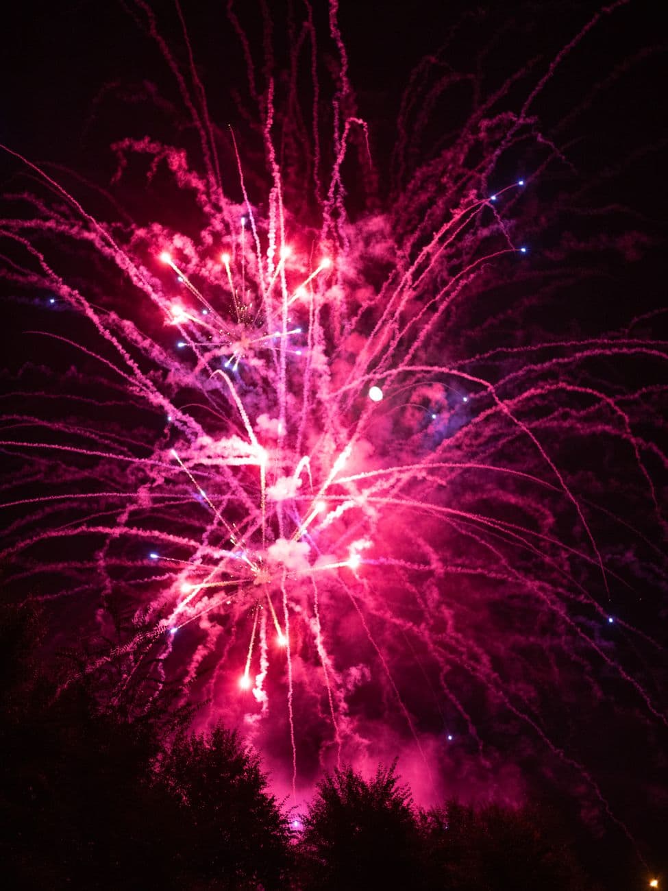 Vivid pink and purple fireworks lighting up the night sky, creating a dazzling display.