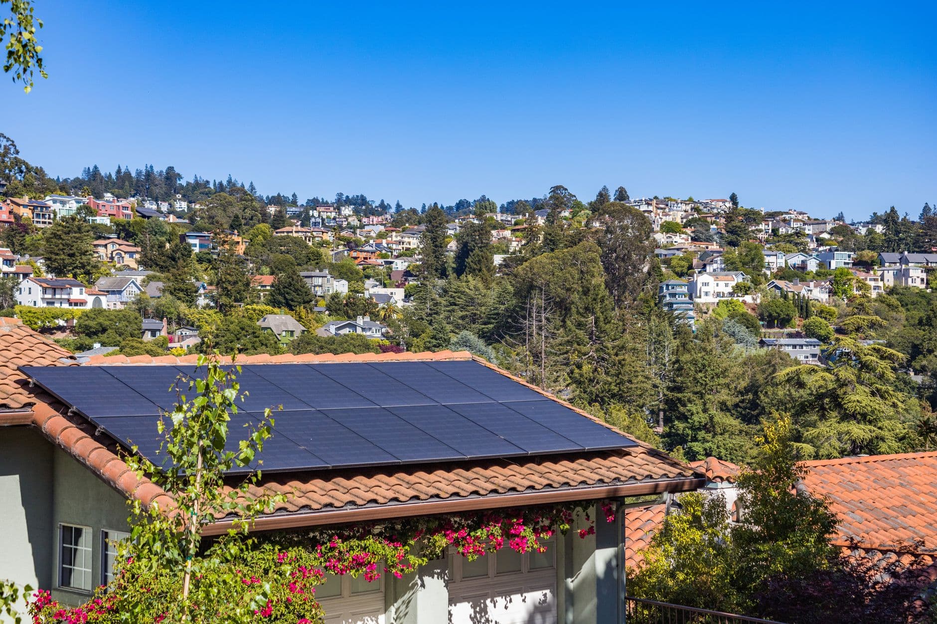 Solar panels on a suburban home, surrounded by lush greenery and a sunny blue sky.