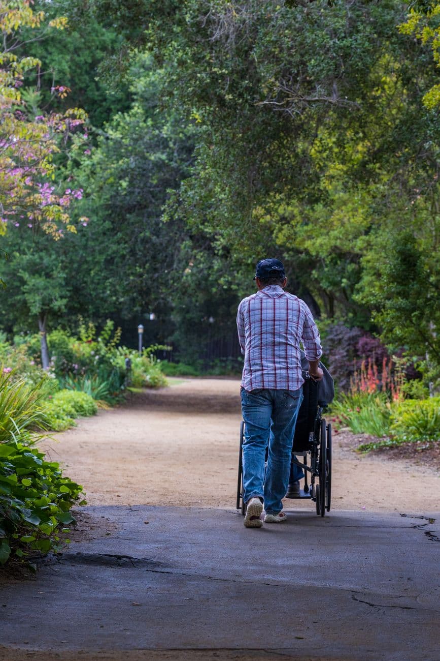 Back view of a man pushing a wheelchair along a tree-lined path on a sunny day.