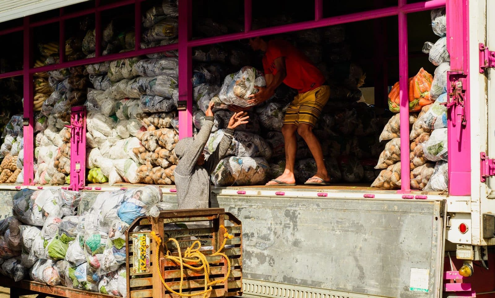 Two men load bags of vegetables onto a pink truck under bright daylight.