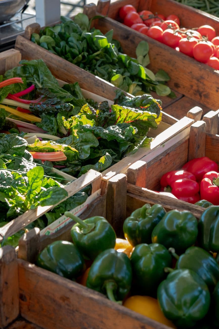 Vibrant display of fresh vegetables including peppers and tomatoes at a farmer's market.