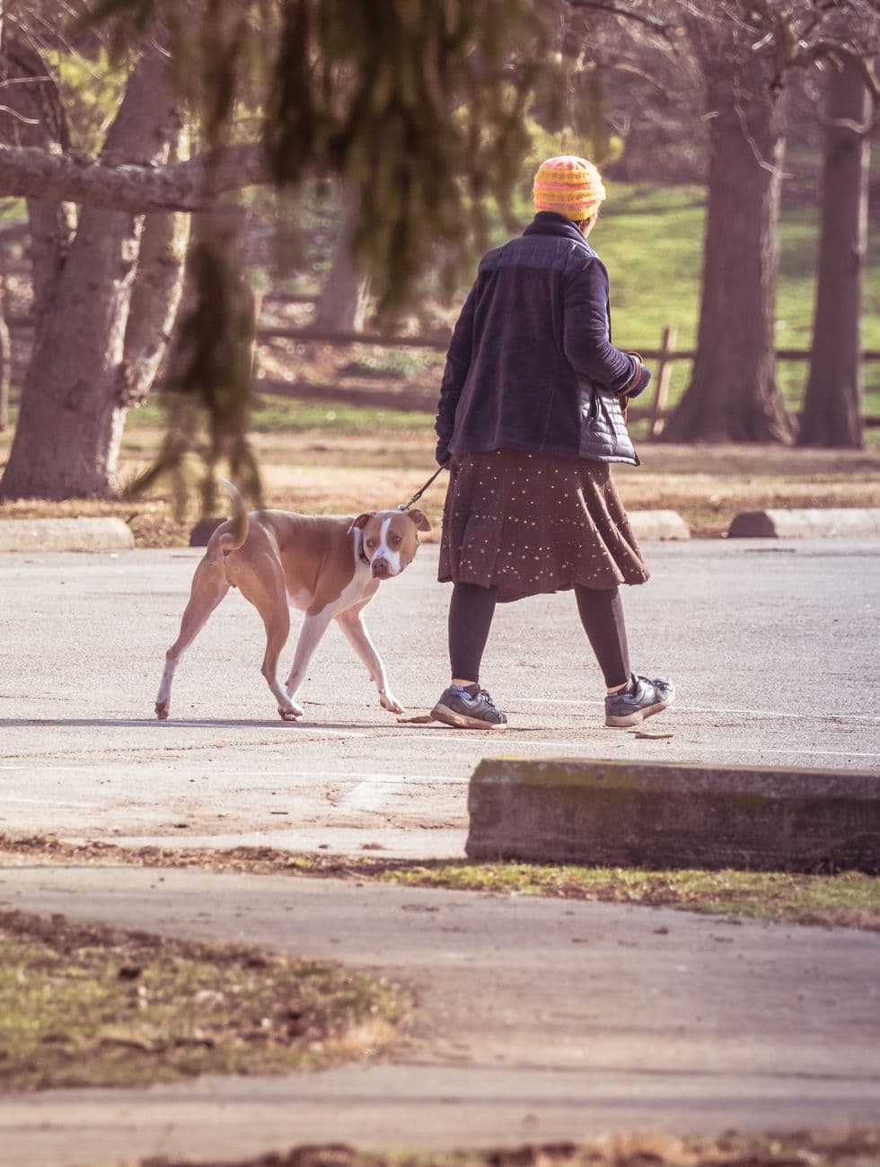 A woman wearing a skirt and hat walks her dog in a sunny park.