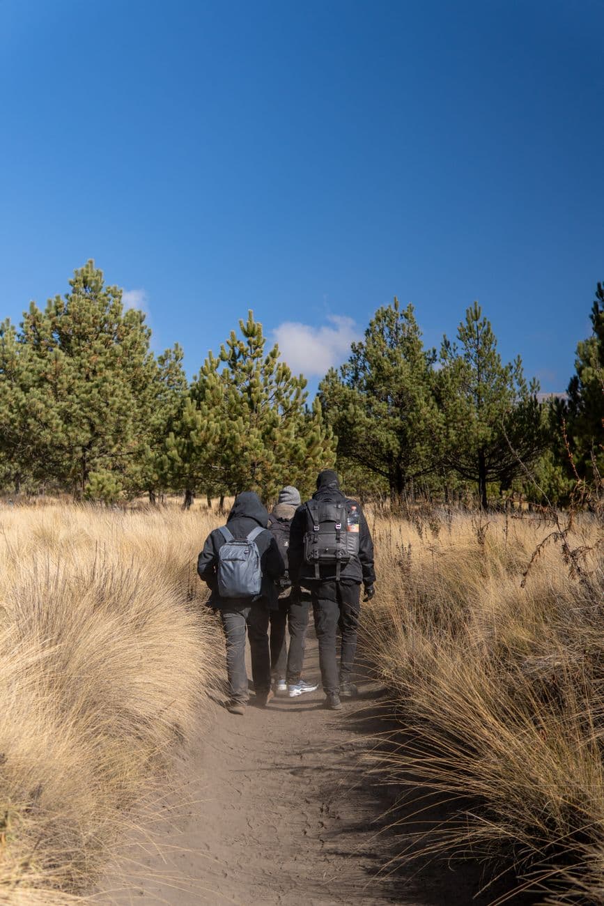 Three hikers enjoy a sunny day on a trail in Puebla, Mexico's pine forest under a clear blue sky.
