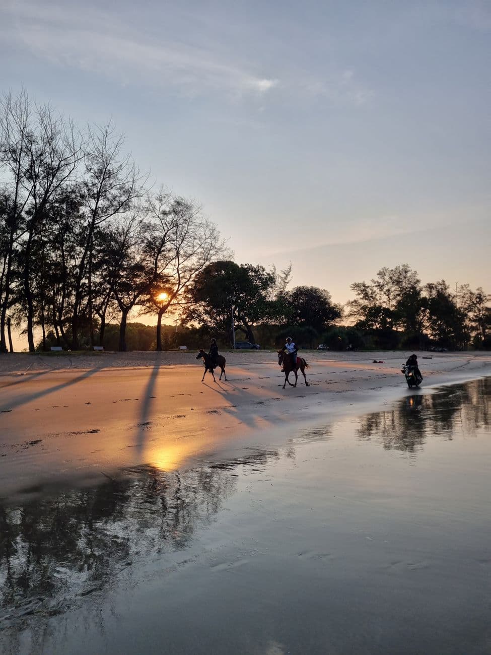 Riders on horses enjoy a tranquil sunset ride along a beautiful sandy beach with calm waters.