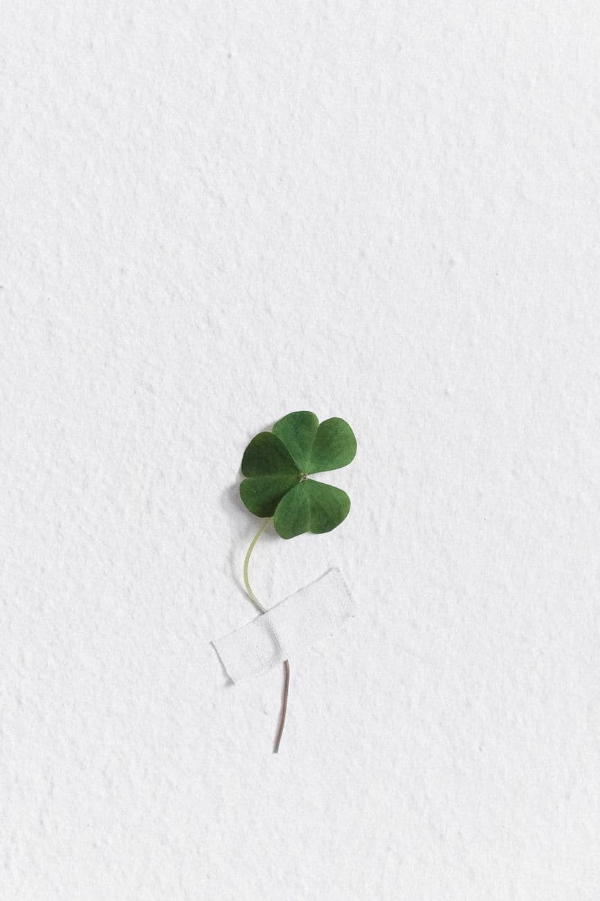 A simple green four-leaf clover taped on a textured white wall for a minimalist touch.