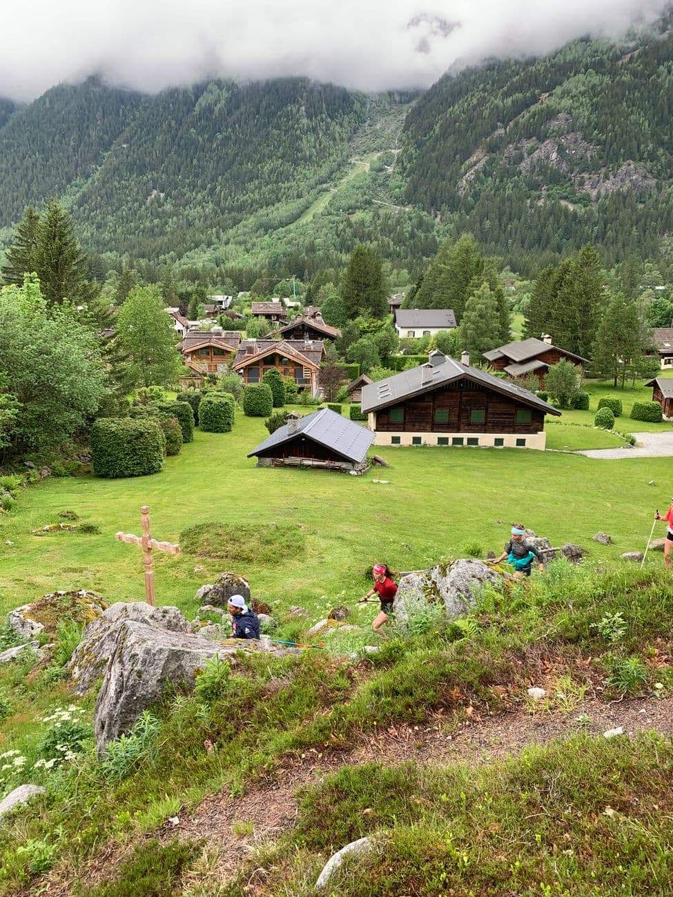 Picturesque village view in Chamonix-Mont-Blanc, France with lush greenery and alpine houses.