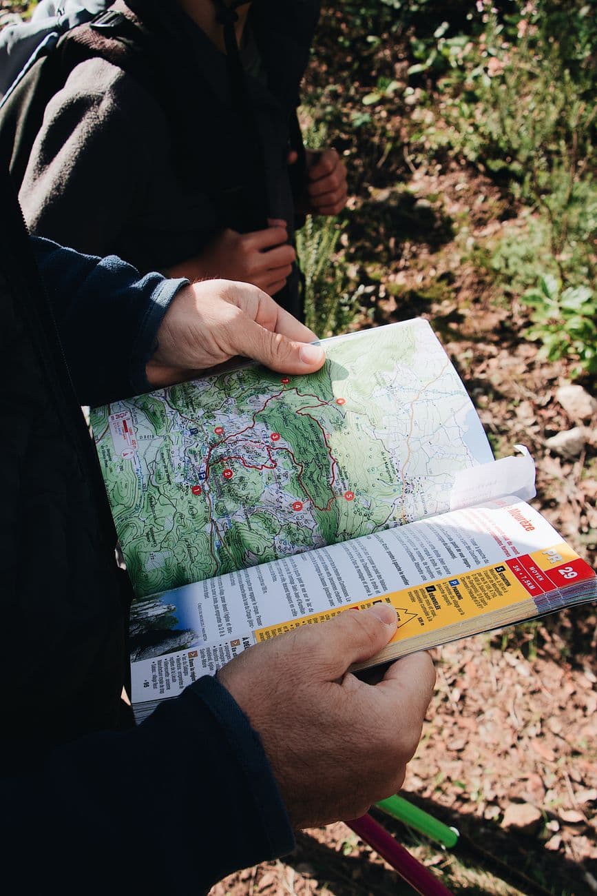 Close-up of a hiker holding a map while exploring a forest trail.